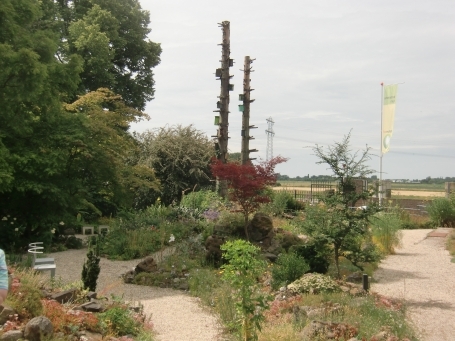 Steyl : Maashoek, Botanischer Garten Jochumhof, der Botanische Garten ist in 6 verschiedene Gartenbereiche eingeteilt mit u.a. Steingarten, Kräutergarten und der Miniatur Heimgarten ist eine Art der Nord-Limburgischen Landschaft.